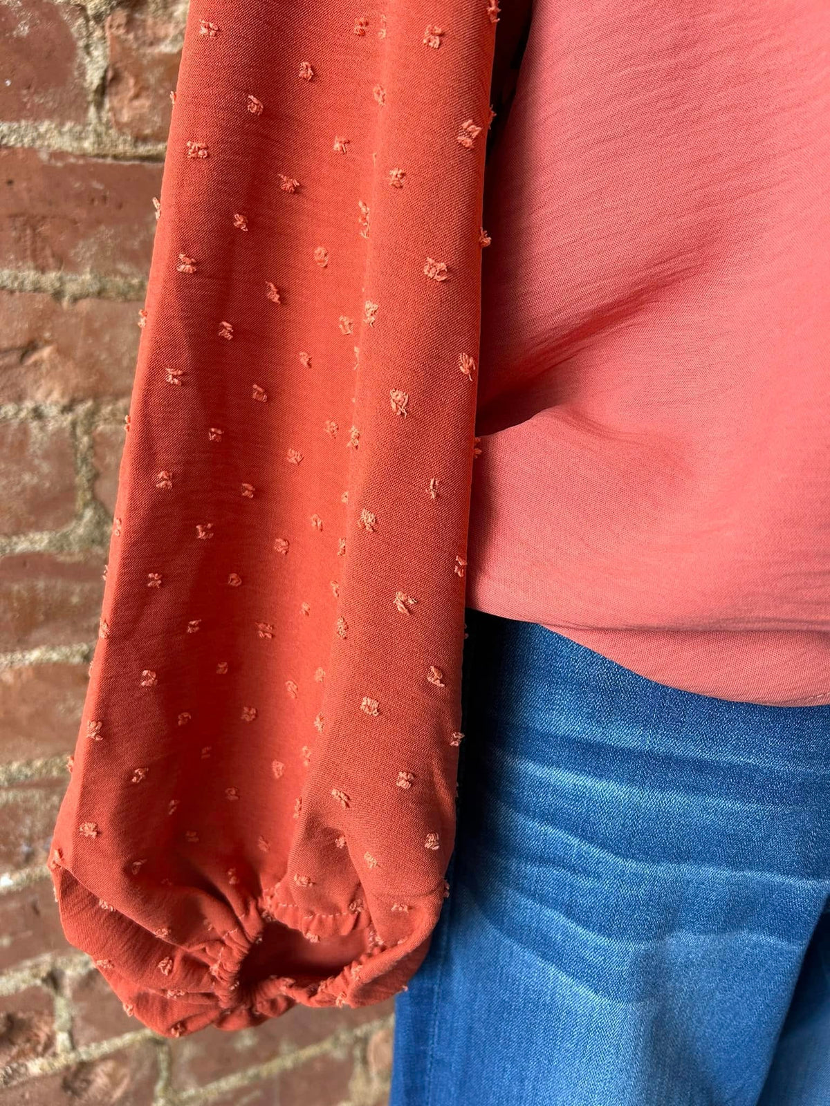 Swiss Dot Balloon Sleeve Top