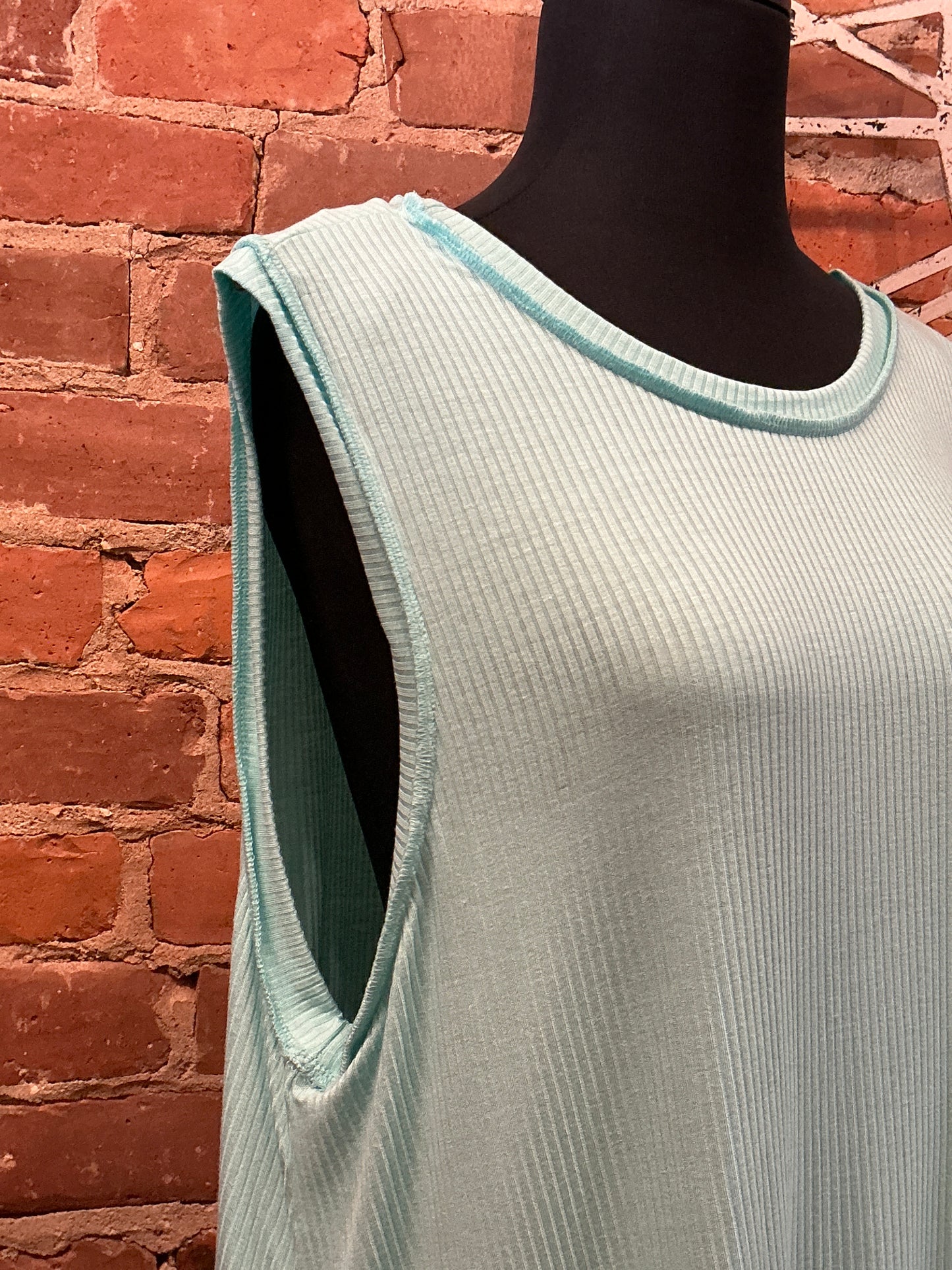Plus Sleeveless Banded Top