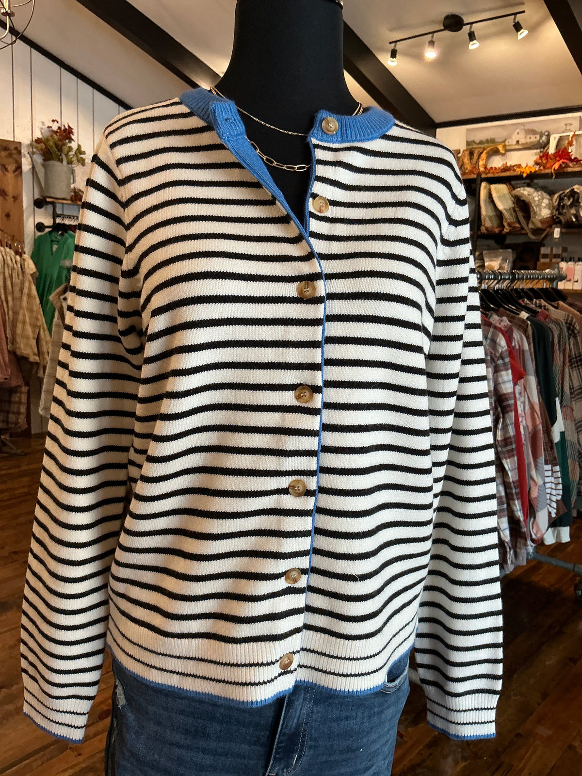 Blue Accent Cardigan Sweater