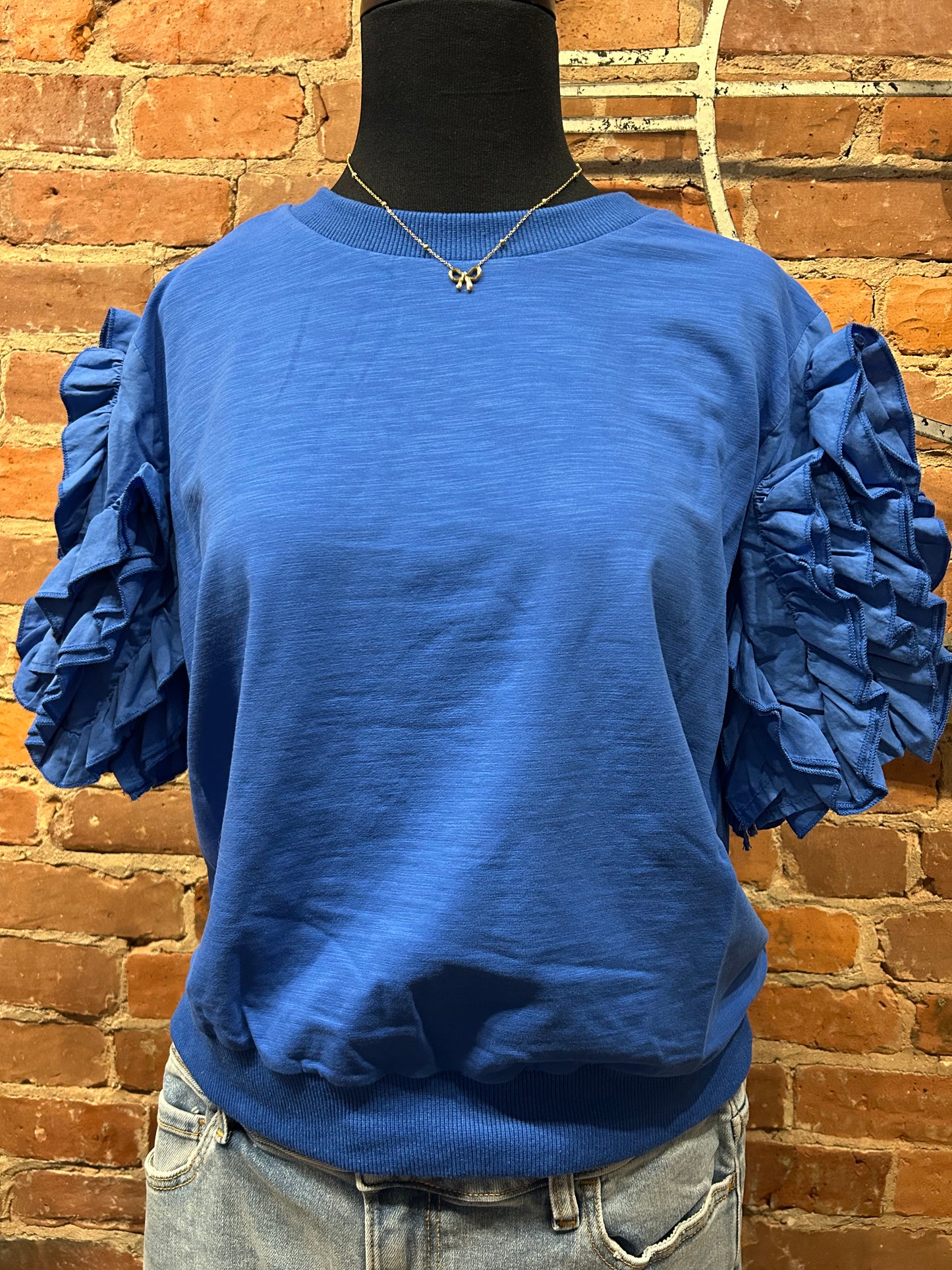 Ruffled Sleeve Top